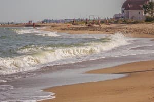 АкунаМатата 14