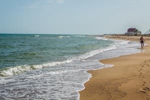 АкунаМатата 15