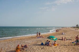 АкунаМатата 19