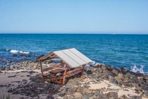 АкунаМатата 17