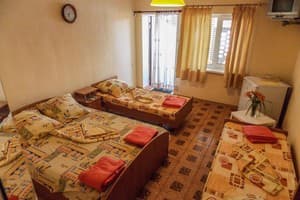 АкунаМатата 8