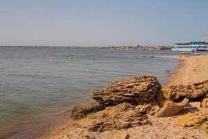 АкунаМатата 23