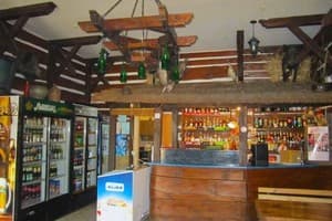 Альбатрос 17