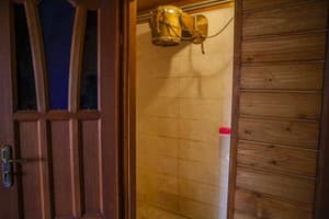 Альбатрос 24