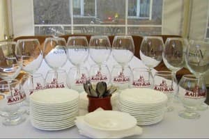 Альбатрос 11