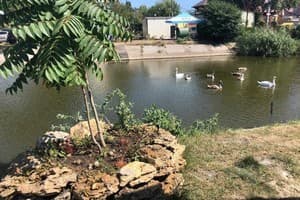 Алькатрас 7