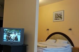 Апартаменты с 1 спальней 1