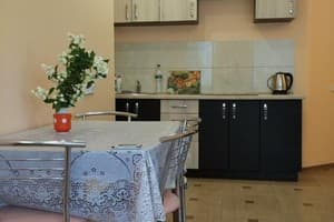 Апартаменты с 1 спальней 2