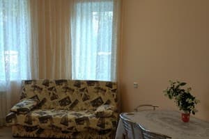 Апартаменты с 1 спальней 3