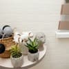 Апарт-отель Apartments at Kontorskaya 10. Апартаменты двухместный  6
