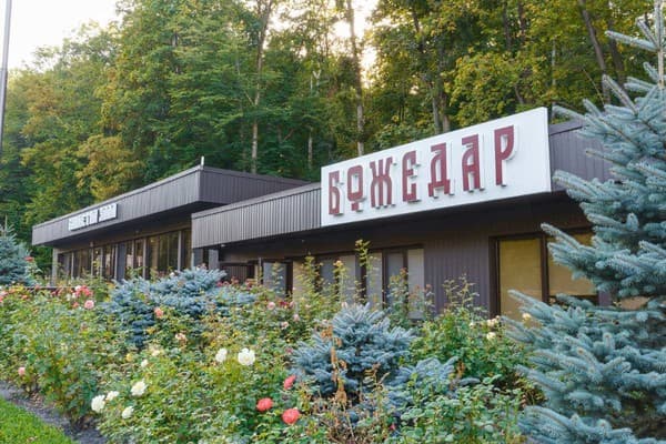  Божедар 38