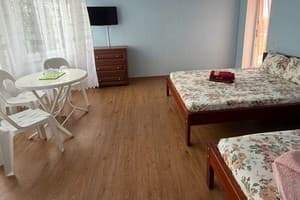 Готель Буревісник 411А. Тримісний 4