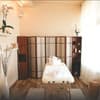 Citadel Gastro Boutique Hotel 35-36/39