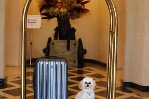 Citadel Gastro Boutique Hotel 21