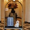 Citadel Gastro Boutique Hotel 21-22/39