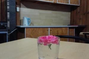 Дача у Михалыча 7