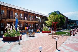 Дельфин на ст. Солнечной 1