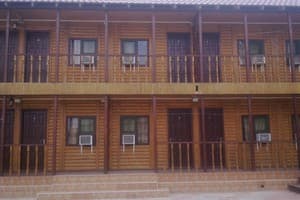 Дельфин на ст. Солнечной 2