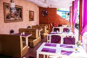 Дельфин на ст. Солнечной 3