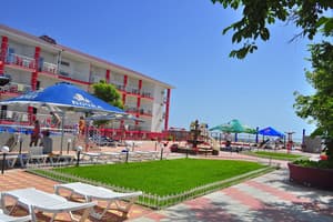 Дельфин на ст. Солнечной 10