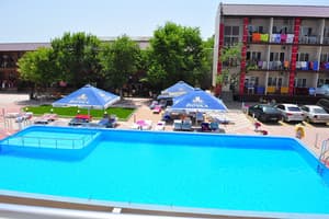 Дельфин на ст. Солнечной 16