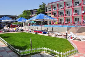 Дельфин на ст. Солнечной 22