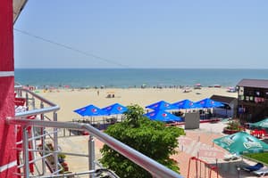 Дельфин на ст. Солнечной 31