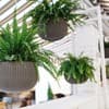 Discovery Hotel 1-2/11