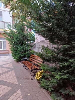 Два Академика 5