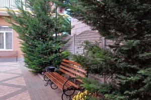 Два Академика 5