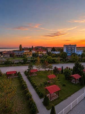 Феникс 12