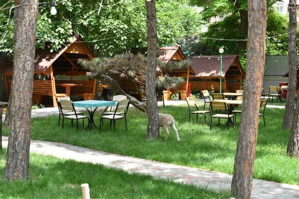 Green Palace Hotel 6