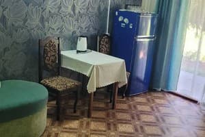 Отель Ирина. Стандарт 5-местный Двухкомнатный 4