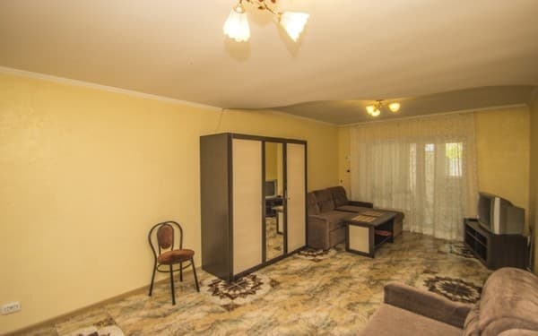 Kiwi 1