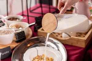 LEV Lifestyle Hotel - Maestro 14