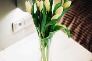 LOFT de luxe apartments 17