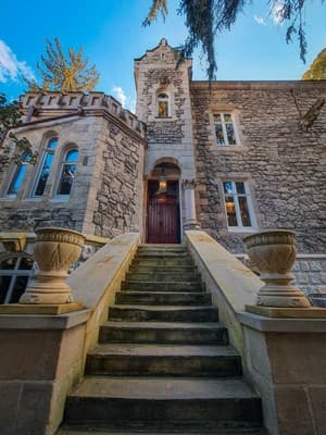 Lion's Castle 9