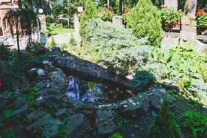 Лісова Перлина 6