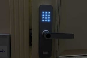 Меньшиков 25