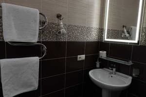 Меньшиков 41