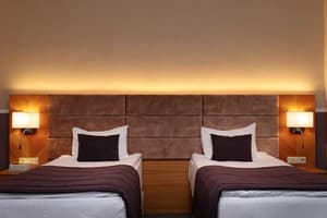 Отель Modern Art-hotel. Делюкс двухместный с 1 или 2 кроватями (завтрак включен) 4