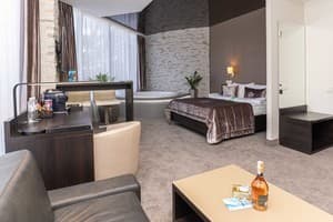 Спа-отель NEMO Hotel Resort & SPA. Люкс двухместный вид на город +1 1