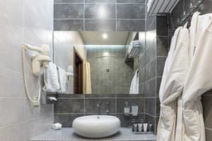 Спа-отель NEMO Hotel Resort & SPA. Стандарт двухместный вид на парк 5