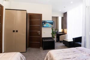 Спа-отель NEMO Hotel Resort & SPA. Стандарт двухместный вид на парк 3