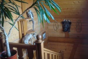 Наша оселя 9