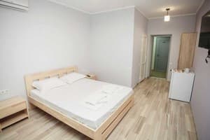 База отдыха Натали. Комфорт двухместный ROYAL  1