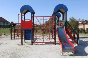 Навария Нова (Navaria Nova) 17