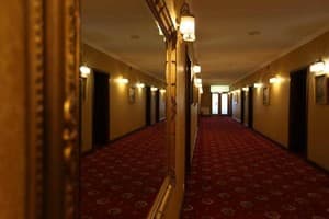 Навария Нова (Navaria Nova) 14