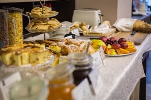 Optima Дворжец Львов 11