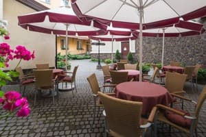 Optima Дворжец Львов 4